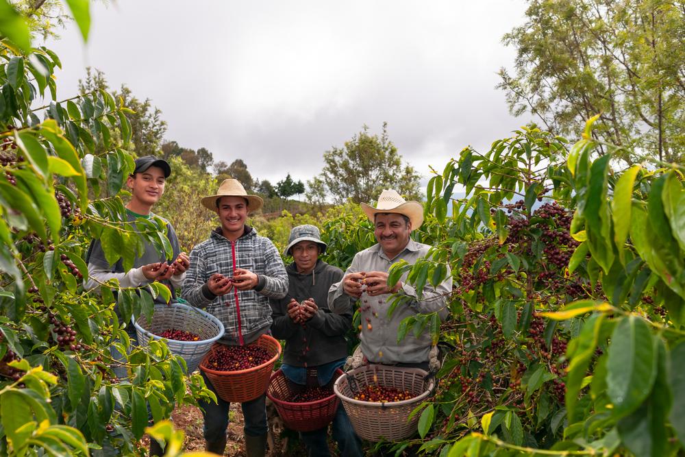 Kolumbia vyniká produkciou a vývozom kávy.