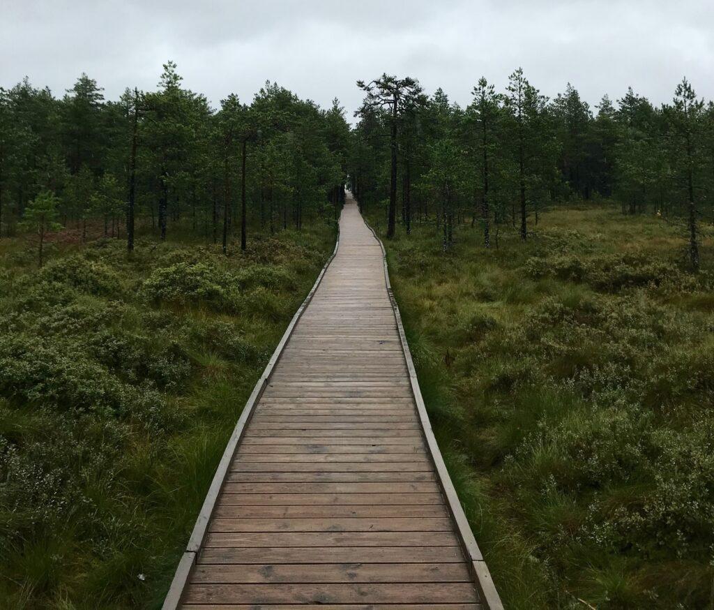 Chodník v Národnom parku Lahemaa ponúka ideálnu príležitosť na prechádzku.
