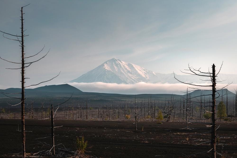 Na Kamčatke sa dá pozorovať Mŕtvy les, kde turista uvidí vplyv klímy na lokálny ekosystém.
